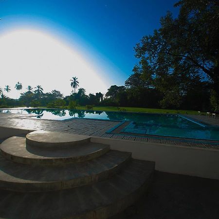 Bird Scenery Leisure Resort Tissamaharama Exterior foto