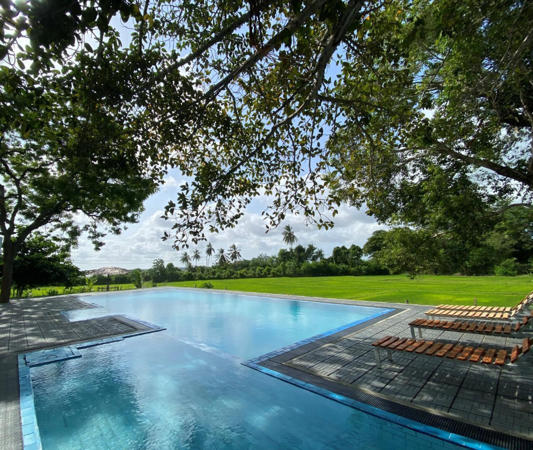 Bird Scenery Leisure Resort Tissamaharama Exterior foto
