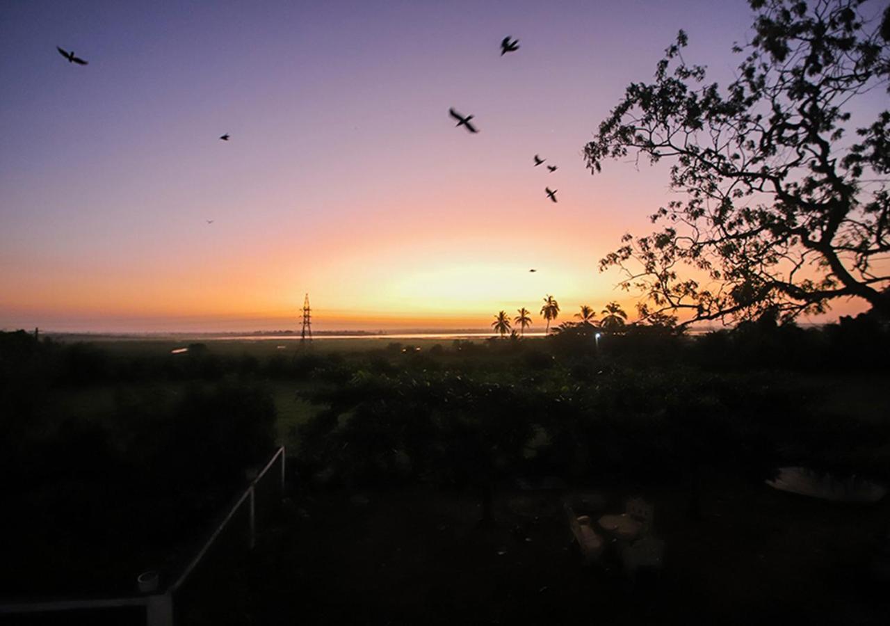 Bird Scenery Leisure Resort Tissamaharama Exterior foto