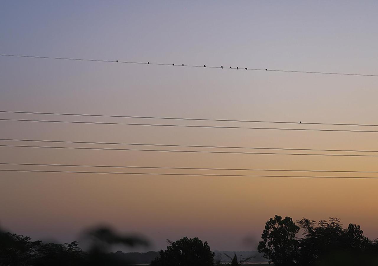 Bird Scenery Leisure Resort Tissamaharama Exterior foto