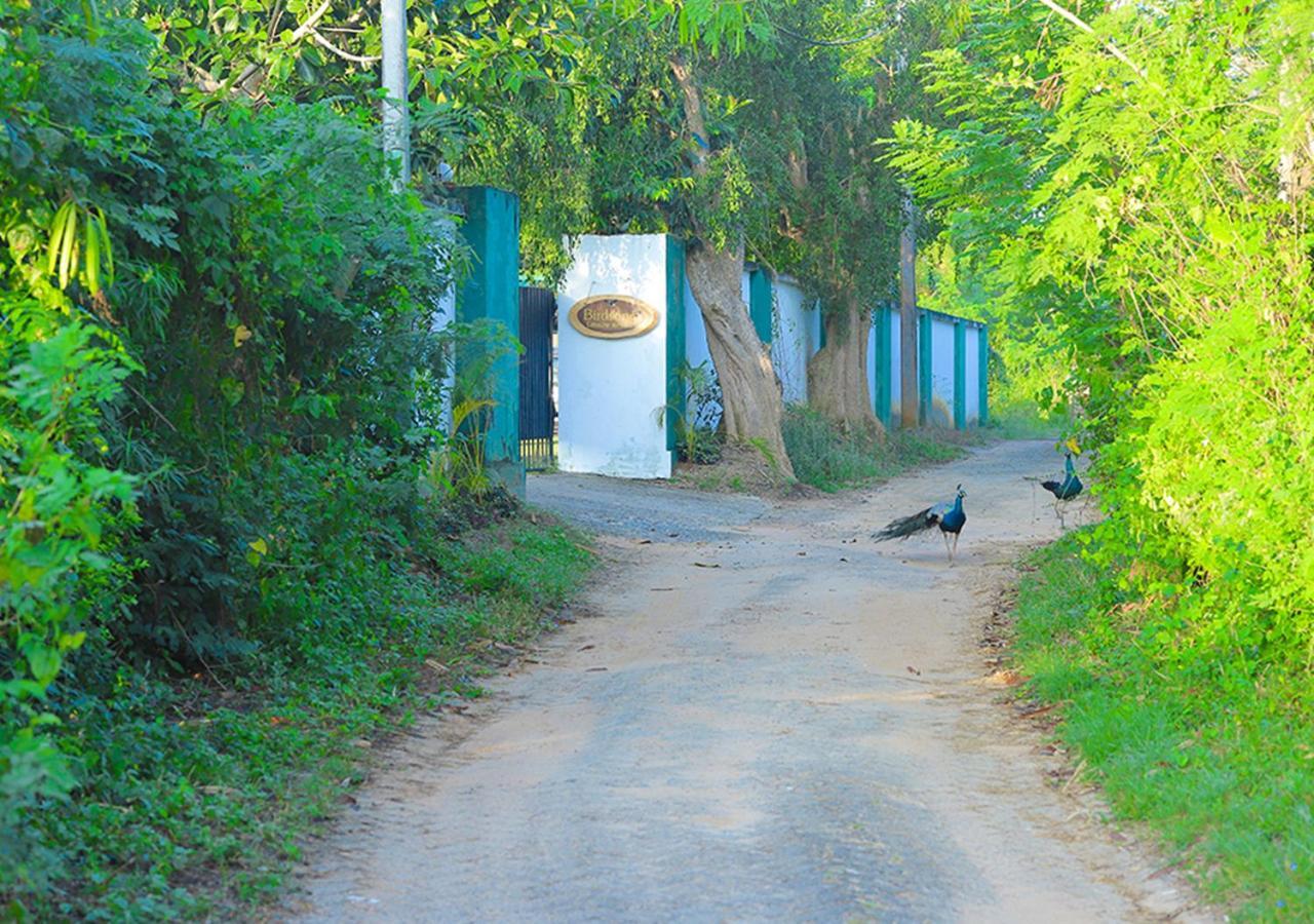 Bird Scenery Leisure Resort Tissamaharama Exterior foto
